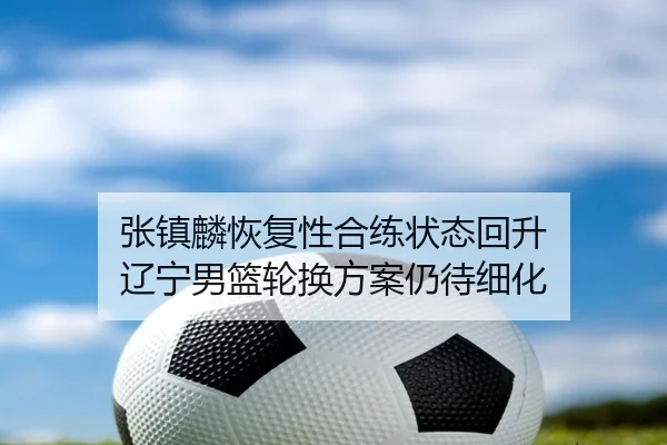 张镇麟恢复性合练状态回升 辽宁男篮轮换方案仍待细化（MILANSPORT）