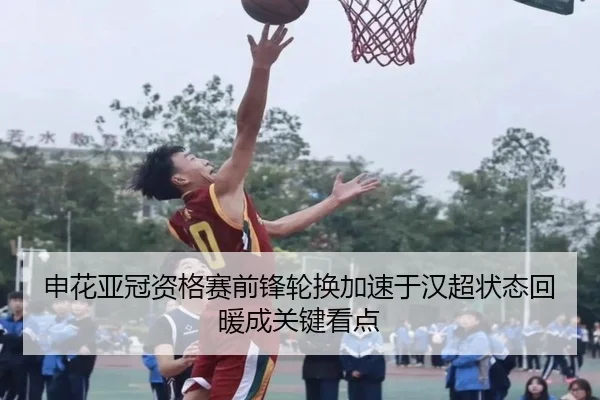 申花亚冠资格赛前锋轮换加速于汉超状态回暖成关键看点（MILANSPORT）