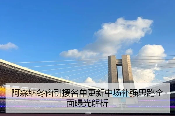 阿森纳冬窗引援名单更新中场补强思路全面曝光解析 - MILANSPORT