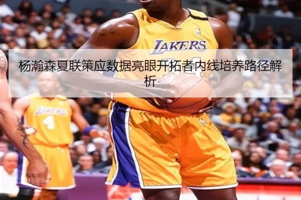杨瀚森夏联策应数据亮眼开拓者内线培养路径解析（MILANSPORT）